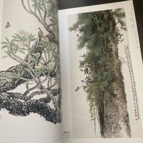 高等美术院校基础教学教法，广州美院方楚雄花鸟写生教学