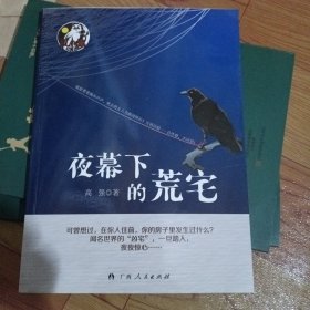 夜幕下的荒宅