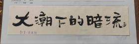 中国美协理事苗再新题字一副