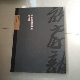 湖南博物院典藏系列.颜家龙捐赠书画作品集大16开