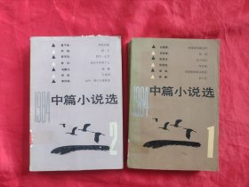 1984中篇小说选 （1、2）