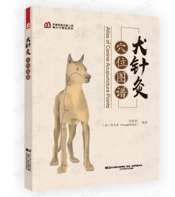 犬针灸穴位图谱