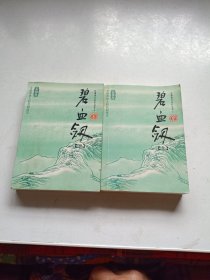 碧血剑（上下）：金庸作品集口袋本