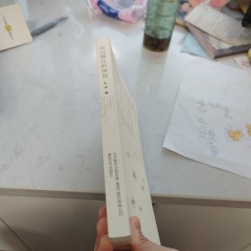 掠过弹孔的风音(诗集)