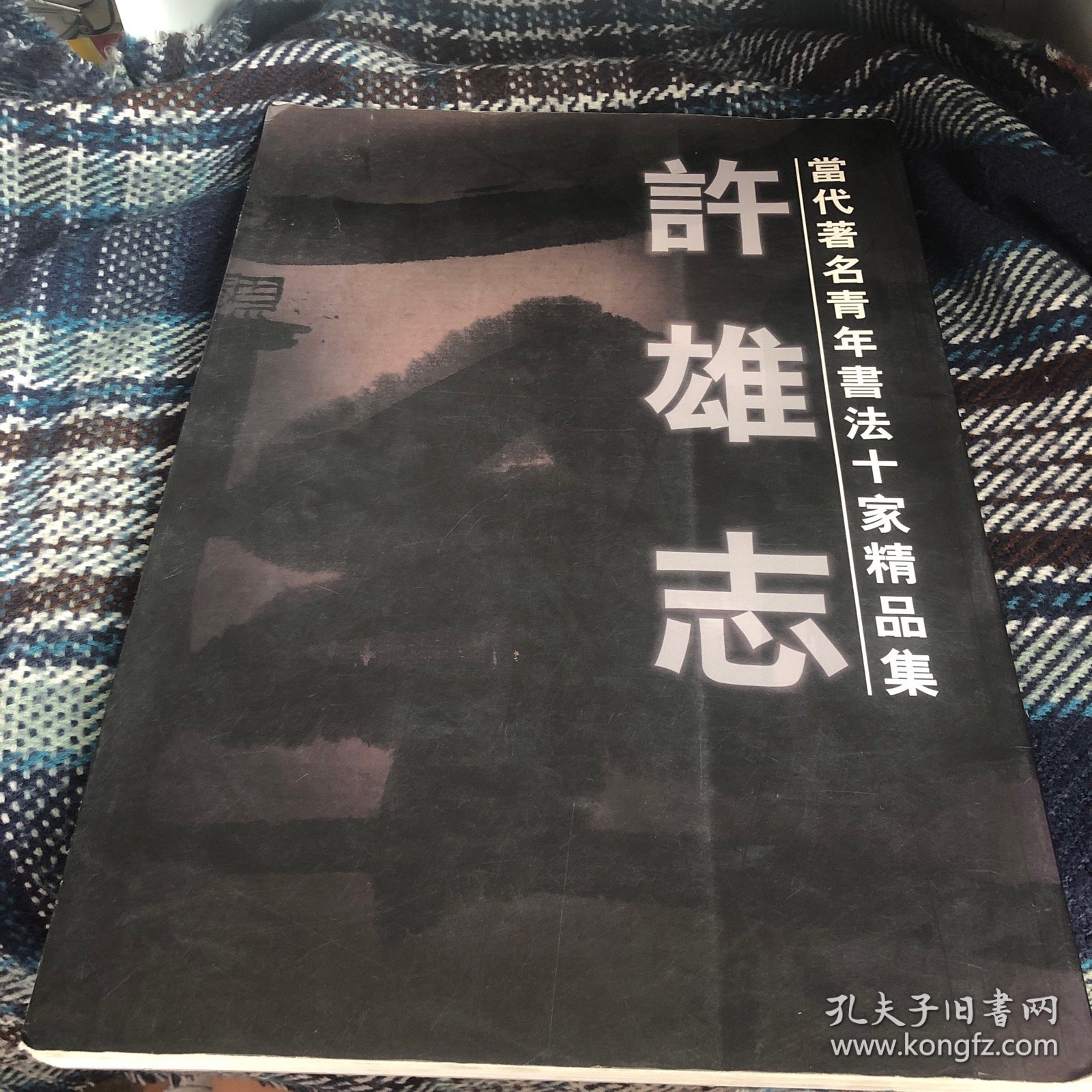 当代著名青年书法十家精品集 梅墨生