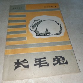 长毛兔