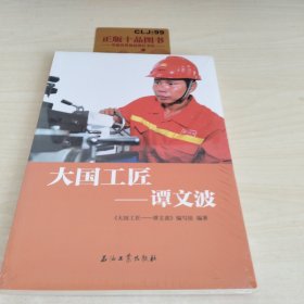 大国工匠：谭文波