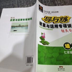 导与练积累与运用专项训练语文七年级下册