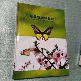 景德镇蝴蝶鉴赏