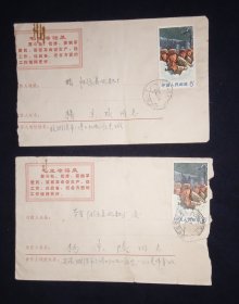 实寄封，2枚贴文18票，收寄为同一人，上海邮制信封，品相如图，2枚合售