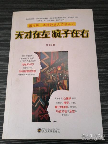 天才在左 疯子在右：国内第一本精神病人访谈手记