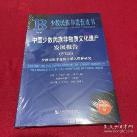 少数民族非遗蓝皮书：中国少数民族非物质文化遗产发展报告（2020）