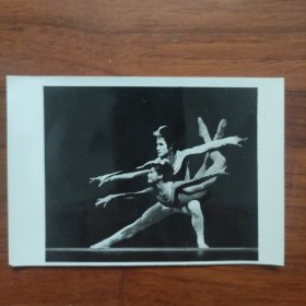 1980年第一届全国舞蹈比赛---辽宁代表队双人舞《海燕》