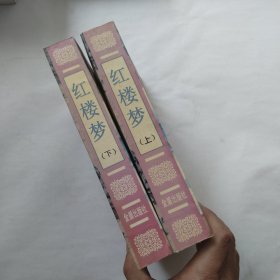 中国古典文学普及读本：红楼梦（上下）