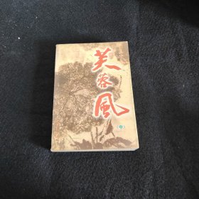 芙蓉村的红楼梦.情梦1979-2000年(一部当今中国人40年的变迁史)