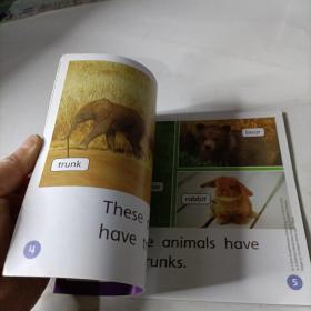 education animal  bodies