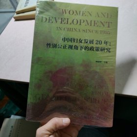 中国妇女发展20年：性别公正视角下的政策研究