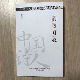 中国诗人：仰望月亮