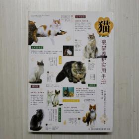 猫：爱猫养护实用手册