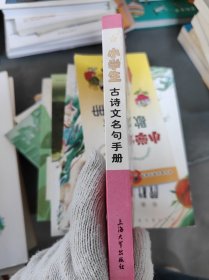 小學(xué)生古詩(shī)文名句手冊(cè)