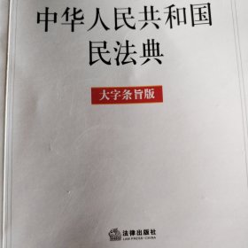 中华人民共和国民法典（大字条旨版）2020年6月