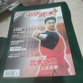 中华武术 2005.7