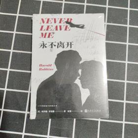 永不离开（一本当代社会中年危机的预言书，一场情感与理智互相撕扯的爱情悲剧！）（未拆）