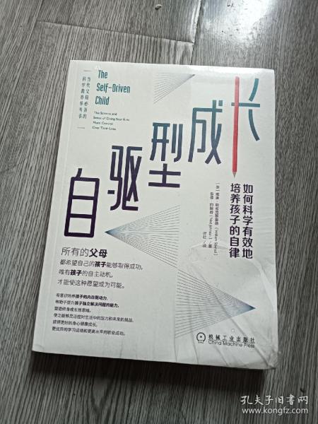 自驱型成长：如何科学有效地培养孩子的自律