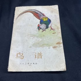 鳥普-帶書衣