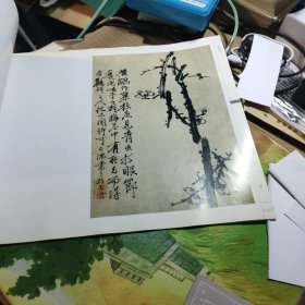 荣宝斋画谱 古代部分十六 清·石涛绘 （二）花卉荣宝斋画谱