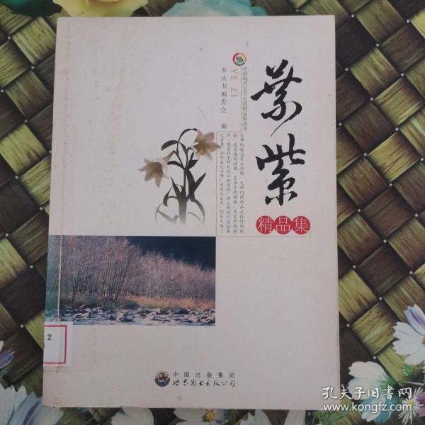 中国现代文学大师精品集丛书-叶紫