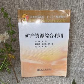 矿产资源综合利用/普通高等教育“十二五”规划教材