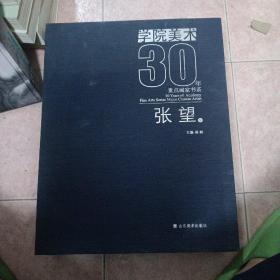 学院美术30年. 张望卷