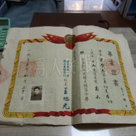 烟台老毕业证书 烟台市第一区职工业余学校 1955年 带照片 （文化路）