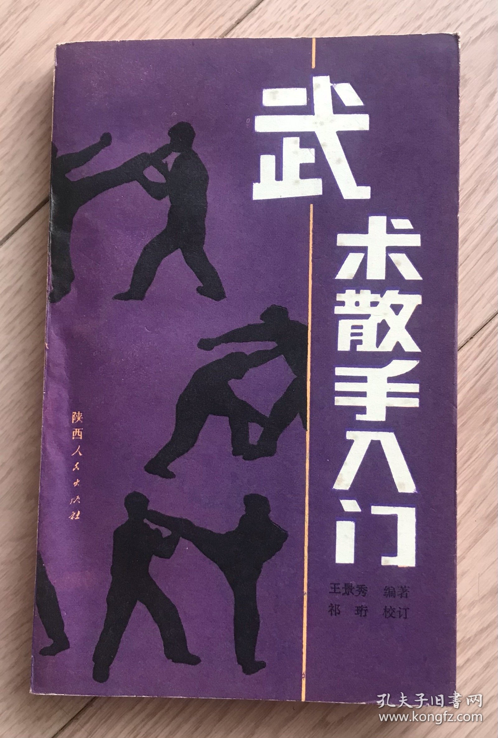 武术散手入门