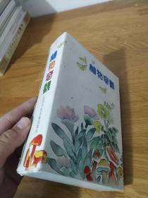 植物奇观 全4册（带盒）