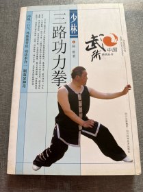 少林三路功力拳