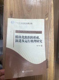 模块化组织的形成演进及运行机理研究