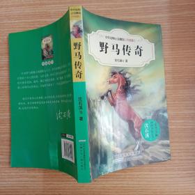 中外动物小说精品（升级版）：野马传奇