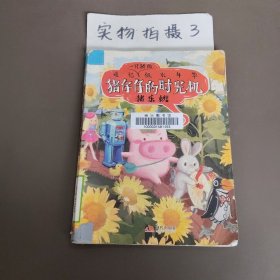 猪仔仔的时光机：追忆一只猪的似水年华