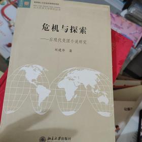 危机与探索：后现代美国小说研究