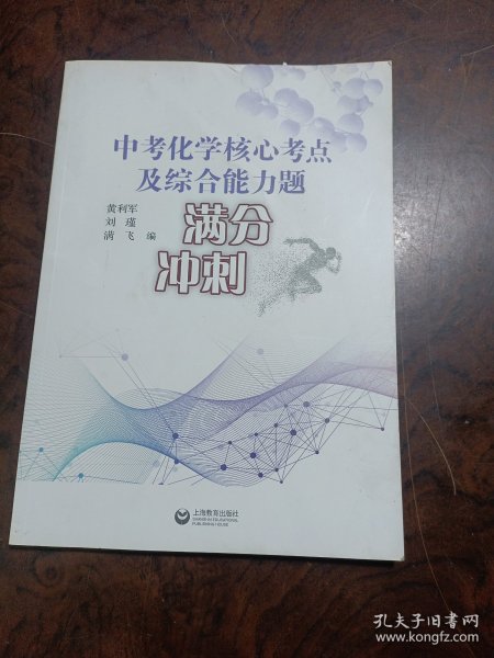 中考化学核心考点及综合能力题满分冲刺