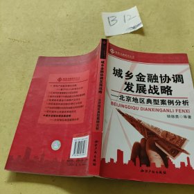 城乡金融协调发展战略：北京地区典型案例分析