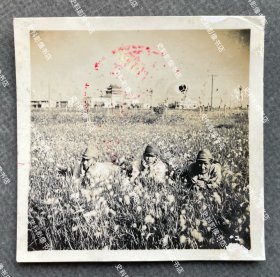 【上海旧影】1941年 上海市中心区（今五角场地区）“和平纪念林”草地上日军第5师团步兵第21旅团的三名士兵以伪上海市政府大楼为背景合影 原版老照片一枚（照片背面有1941年6月20日“松第二部隊本部”即日军第5师团步兵第21旅团司令部检阅章。1941年，伪上海市政府在市中心区种植“和平纪念林”，1943、1944年在伪市政府举行两次植树节活动。）