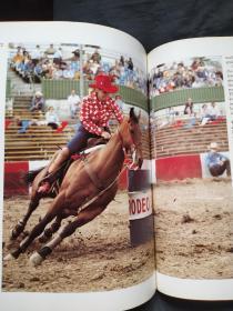 Horses