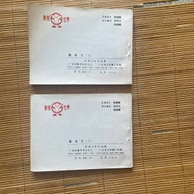 南拳王