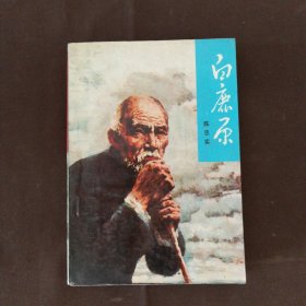 白鹿原 下