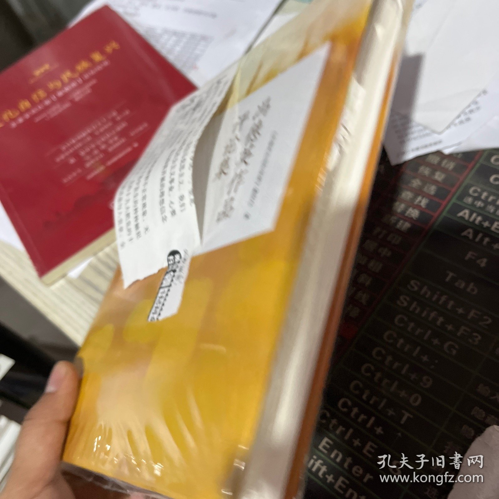 冯德英作品评论集
