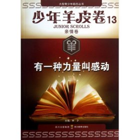 大型青少年励志丛书：有一种力量叫感动（少年羊皮卷）