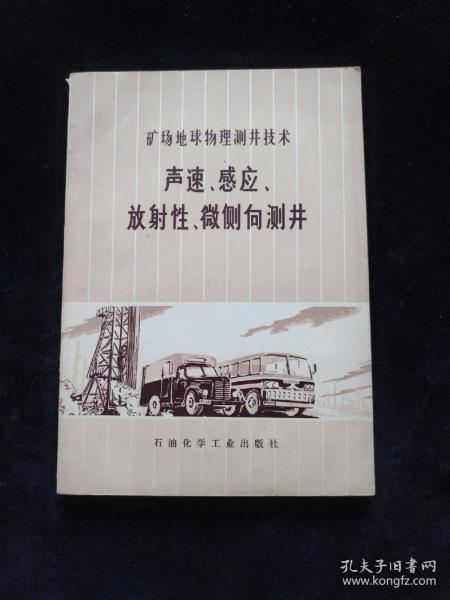 矿场地球物理测井技术 声速、感应、放射性、微侧向测井